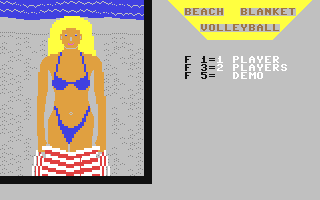 Beach Blanket Volleyball
